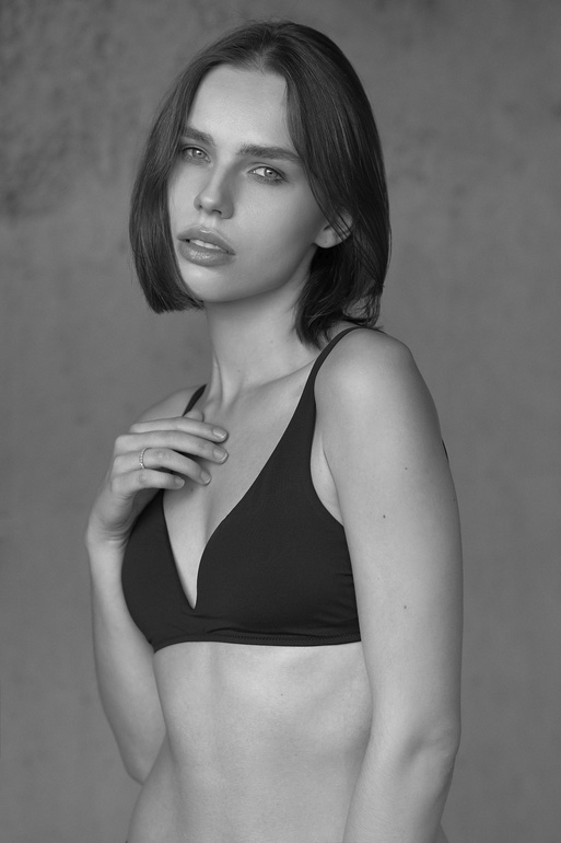 REVS model - WERONIKA BROZDA